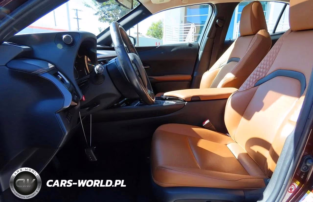 2019 Lexus Ux 200 VIN:JTHY3JBH0K2013596 - 9