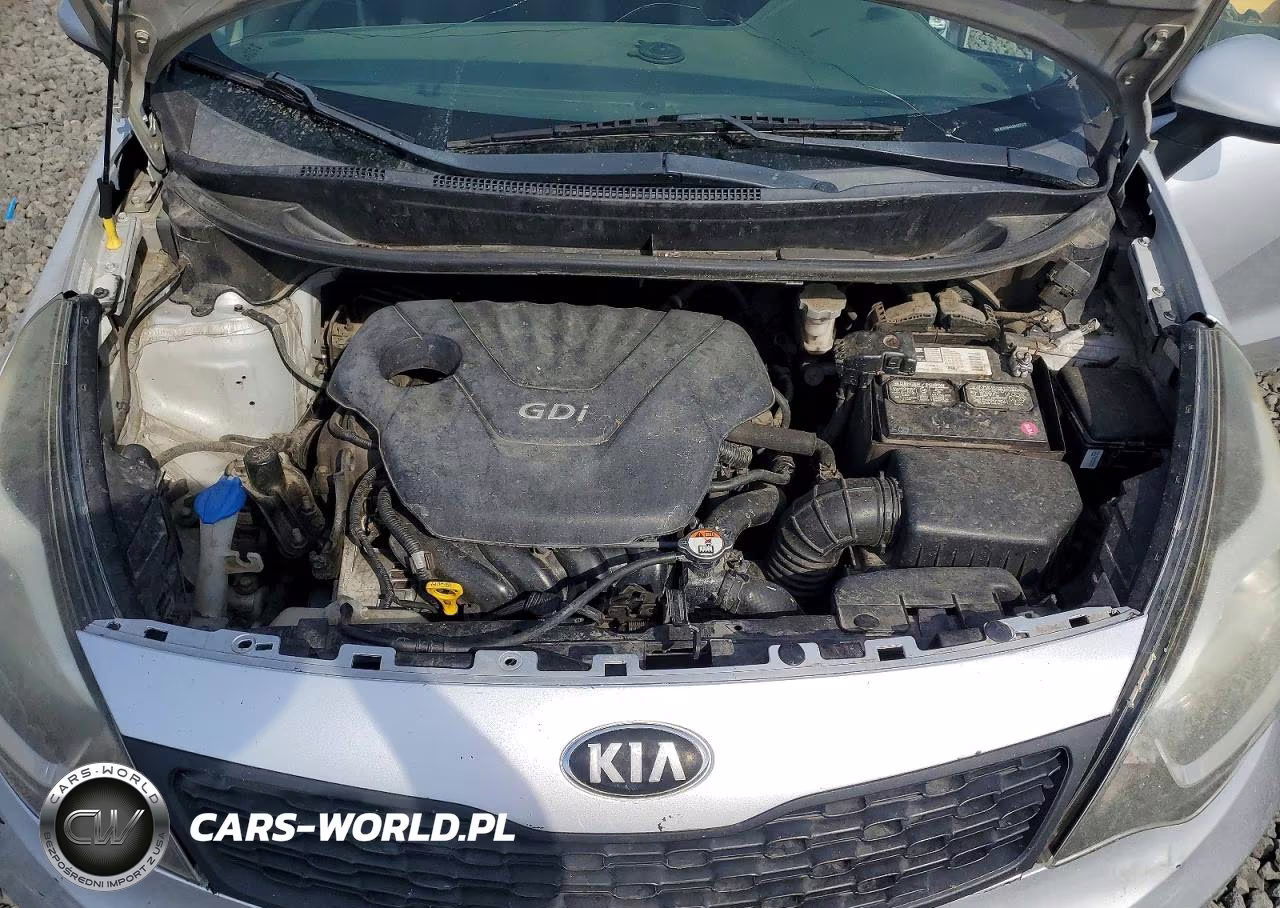 2014 Kia Rio Lx VIN:KNADM4A33E6373735 - 11