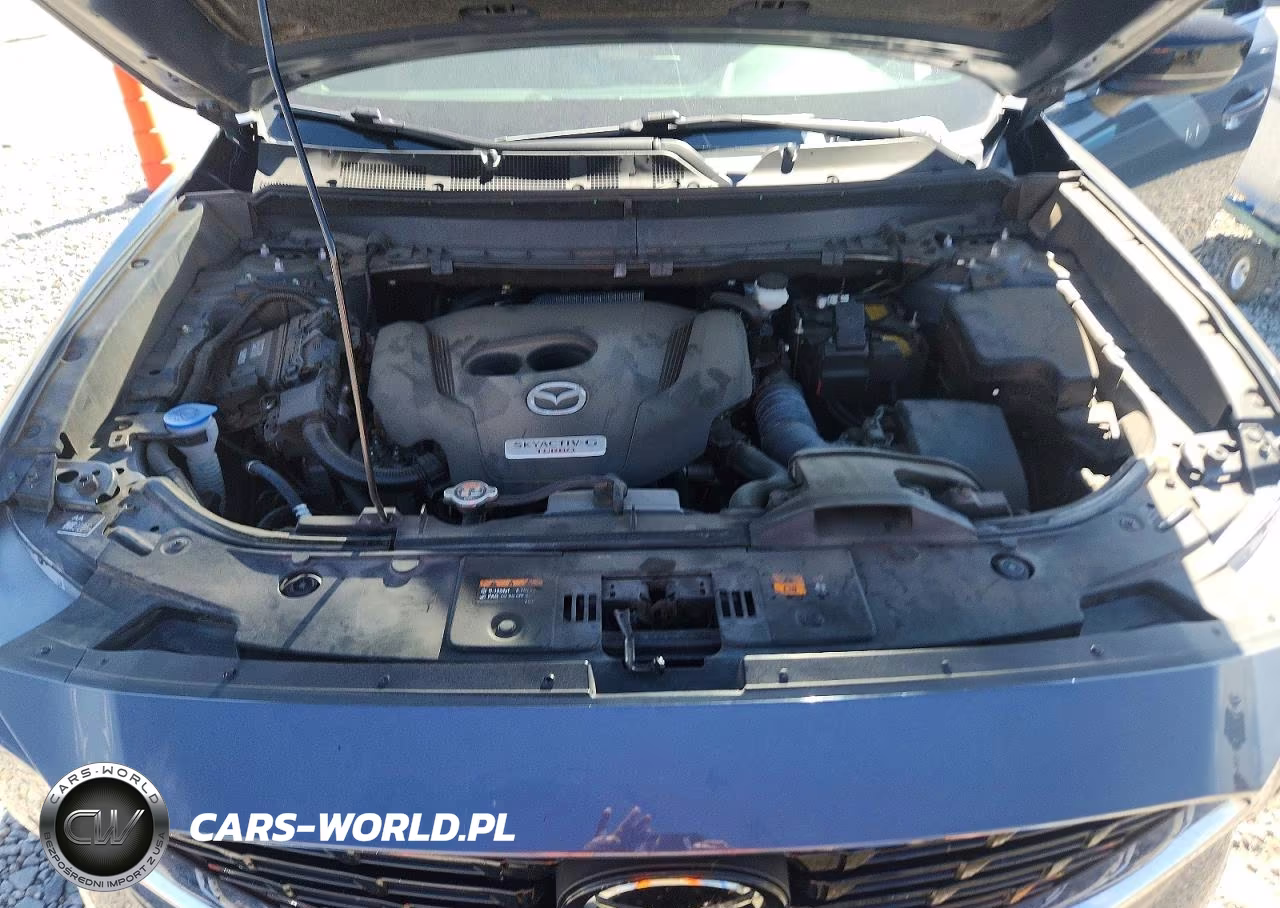 2023 Mazda Cx-9 Grand Touring VIN:JM3TCBDY4P0645218 - 12