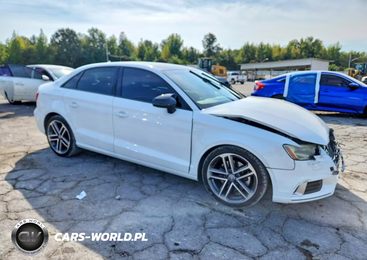 2017 Audi A3 Premium VIN:WAUAUGFF5H1036413 - 4