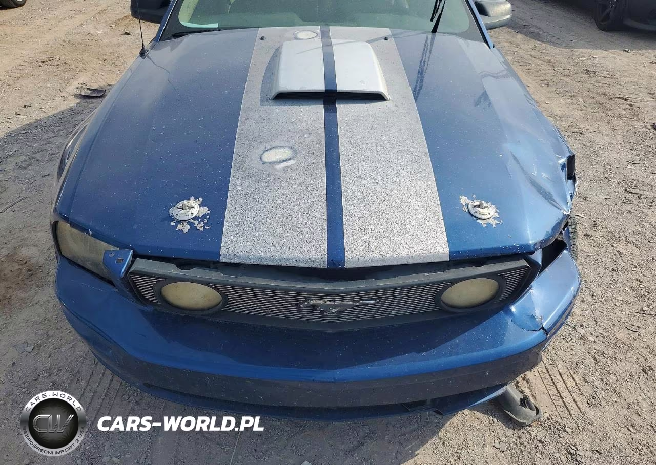 2007 Ford Mustang Gt VIN:1ZVFT82H475301030 - 11