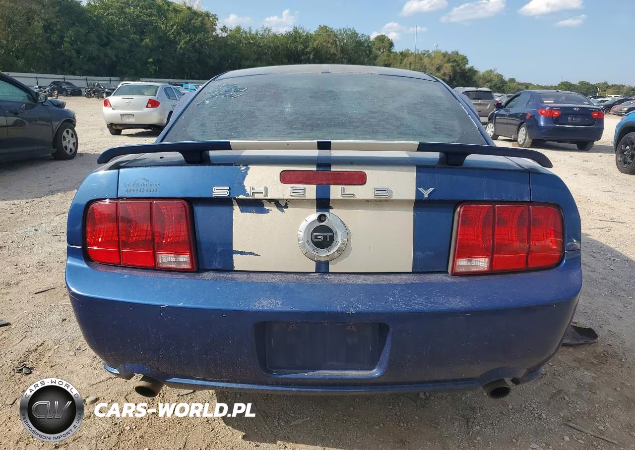 2007 Ford Mustang Gt VIN:1ZVFT82H475301030 - 6