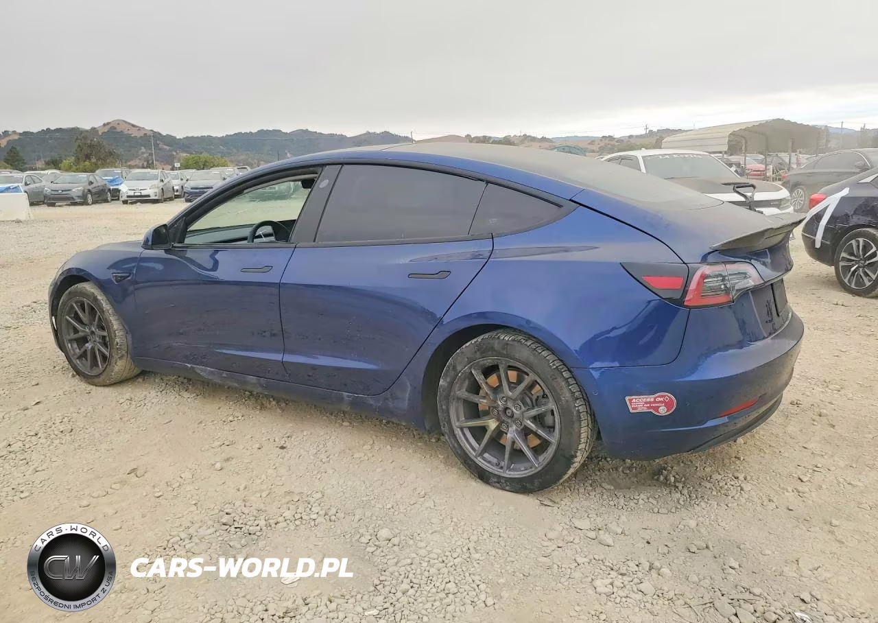 2022 Tesla Model 3 VIN:5YJ3E1EA2NF144325 - 2