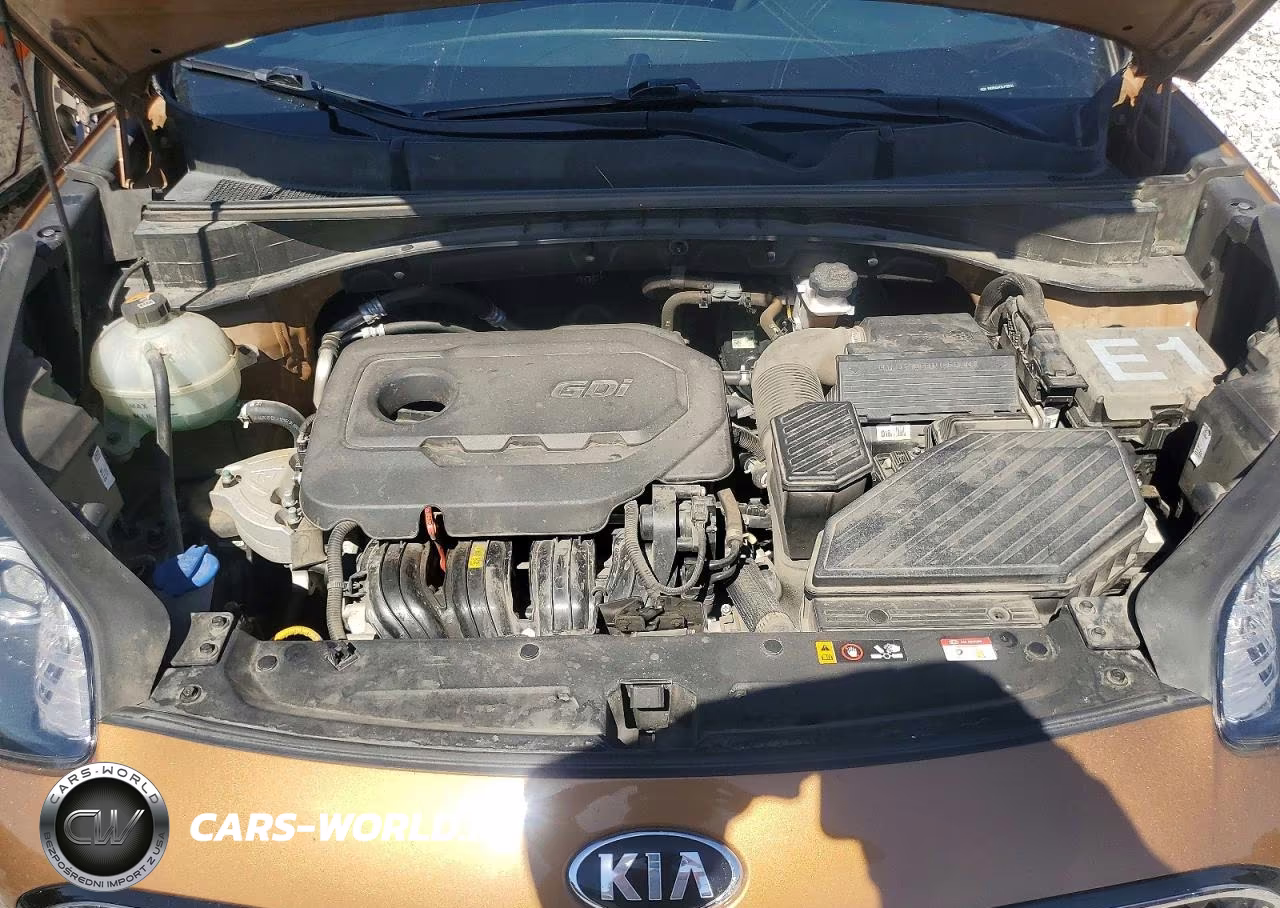 2020 Kia Sportage Lx VIN:KNDPM3AC9L7730773 - 12