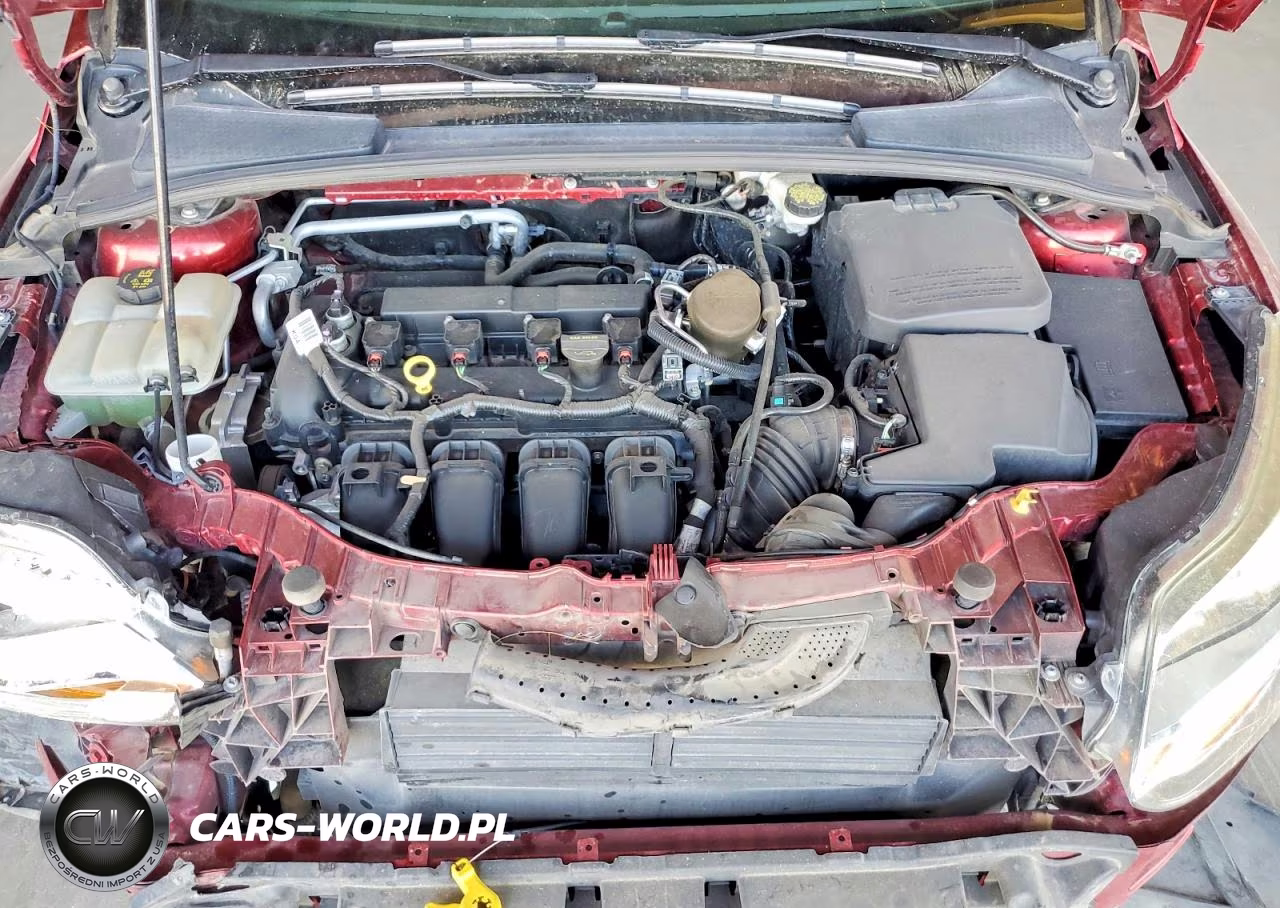 2014 Ford Focus Se VIN:1FADP3F20EL300401 - 11