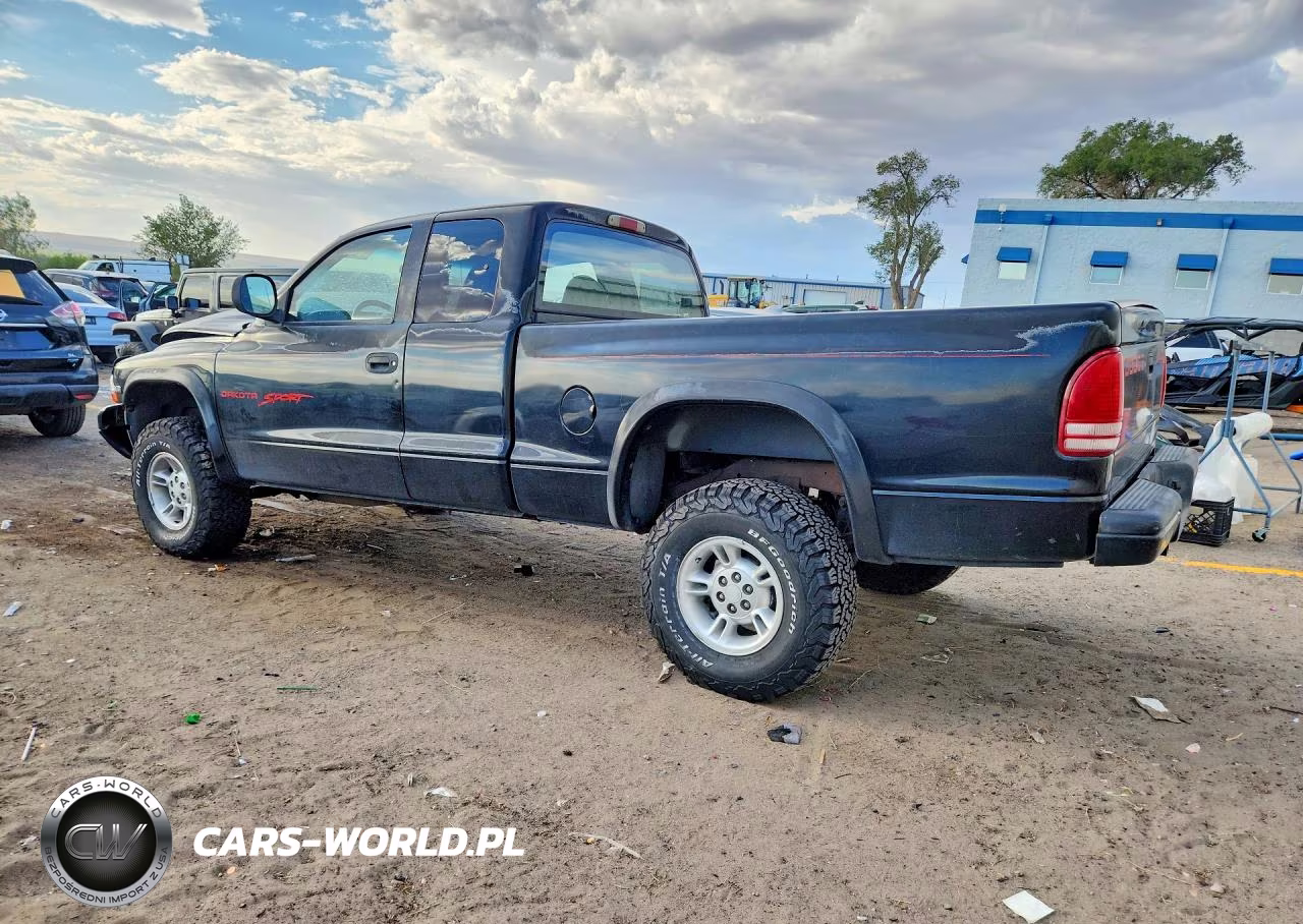 1999 Dodge Dakota VIN:1B7GG22Y1XS234252 - 2