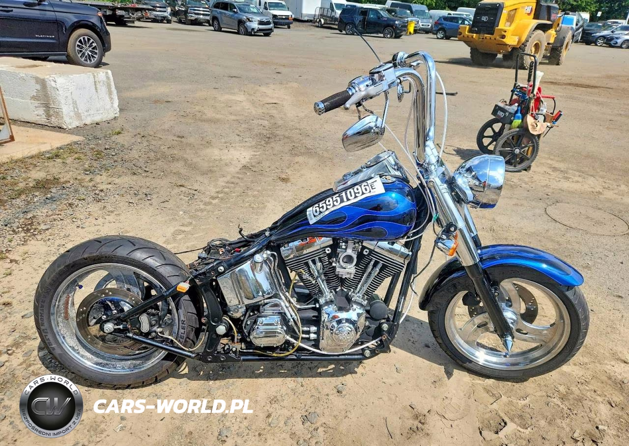 2002 Harley-Davidson Flstf – zdjęcie 1 z 10