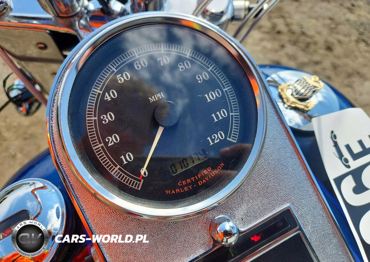 2002 Harley-Davidson Flstf VIN:1HD1BMY122Y047200 - 7