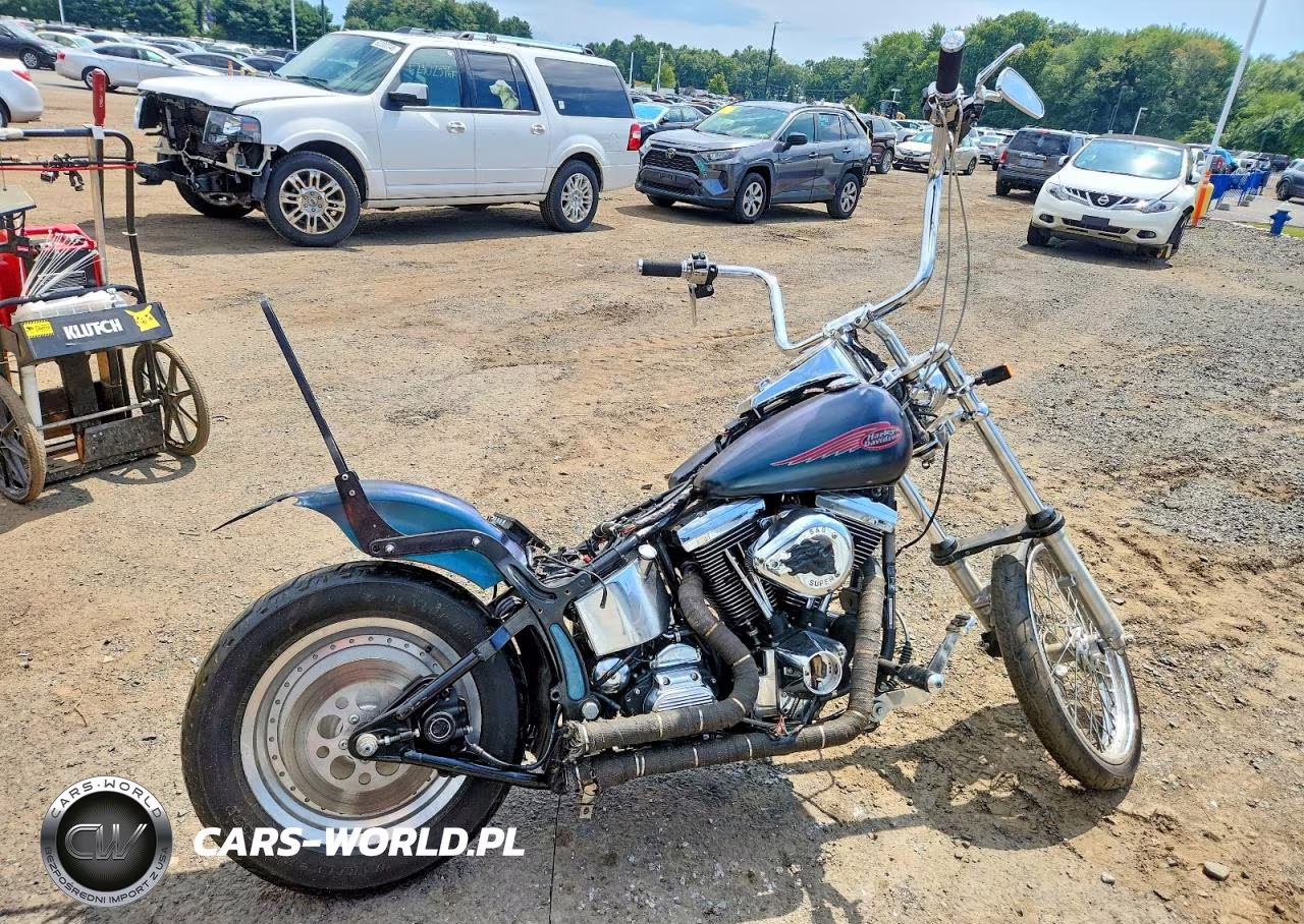 1999 Harley-Davidson Fxst Custom – zdjęcie 1 z 8