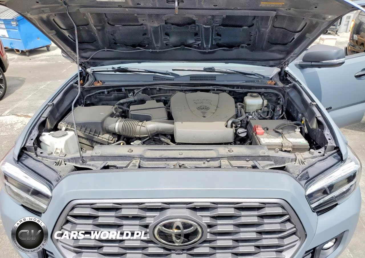 2021 Toyota Tacoma Trd Off-Road VIN:3TMCZ5AN6MM387859 - 11