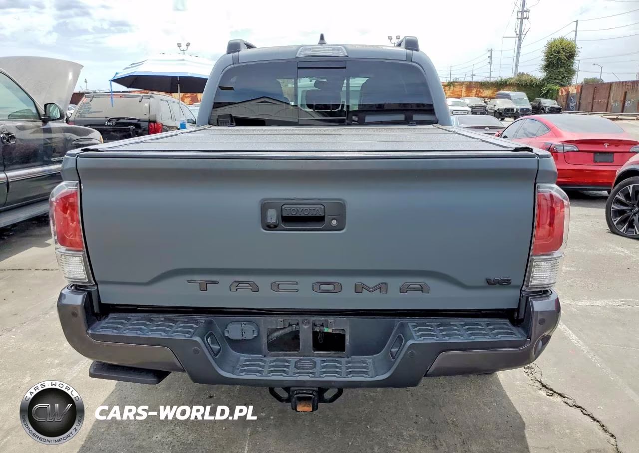 2021 Toyota Tacoma Trd Off-Road VIN:3TMCZ5AN6MM387859 - 6