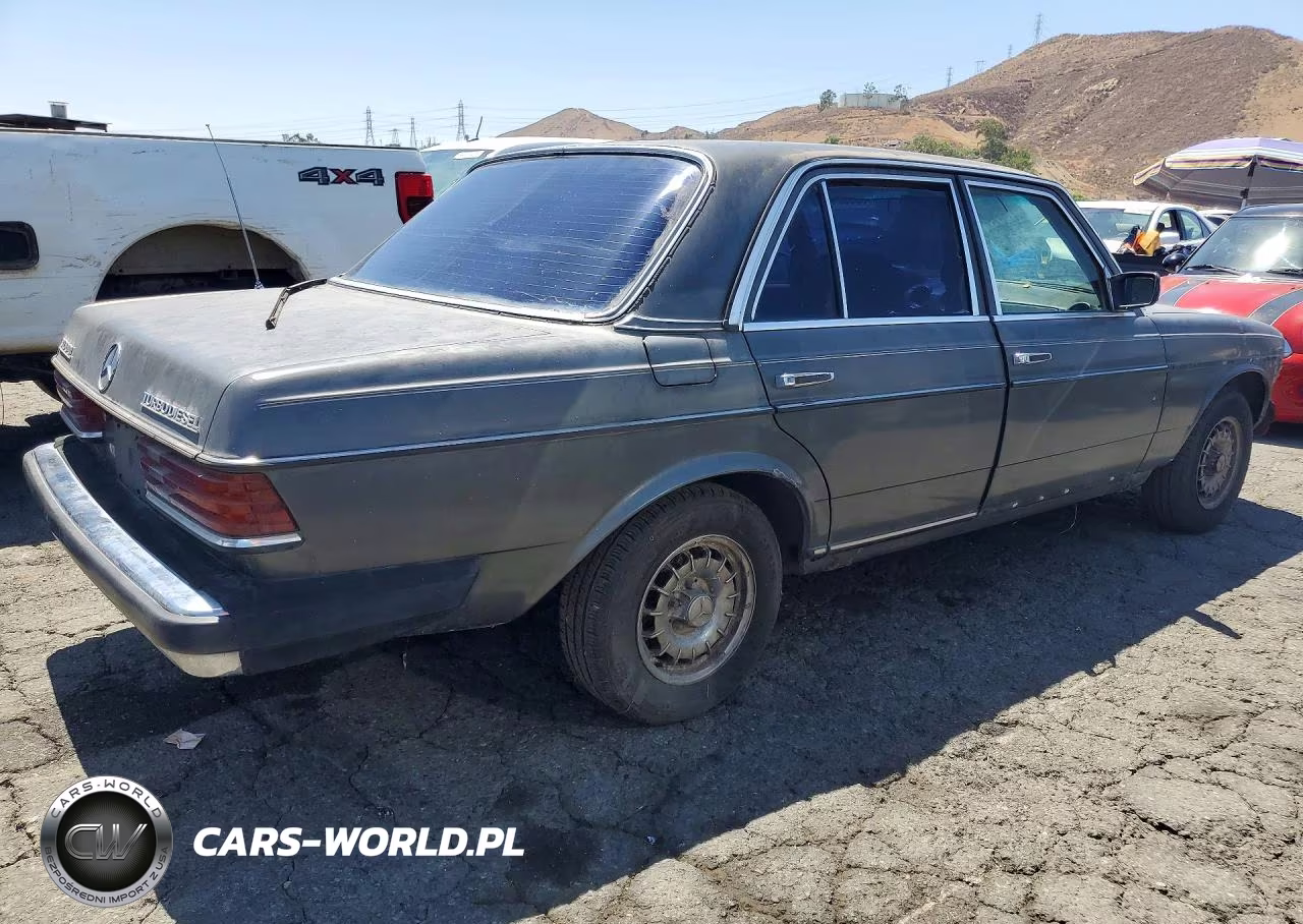 1982 Mercedes-Benz 300 Dt VIN:WDBAB33A3CB012722 - 3