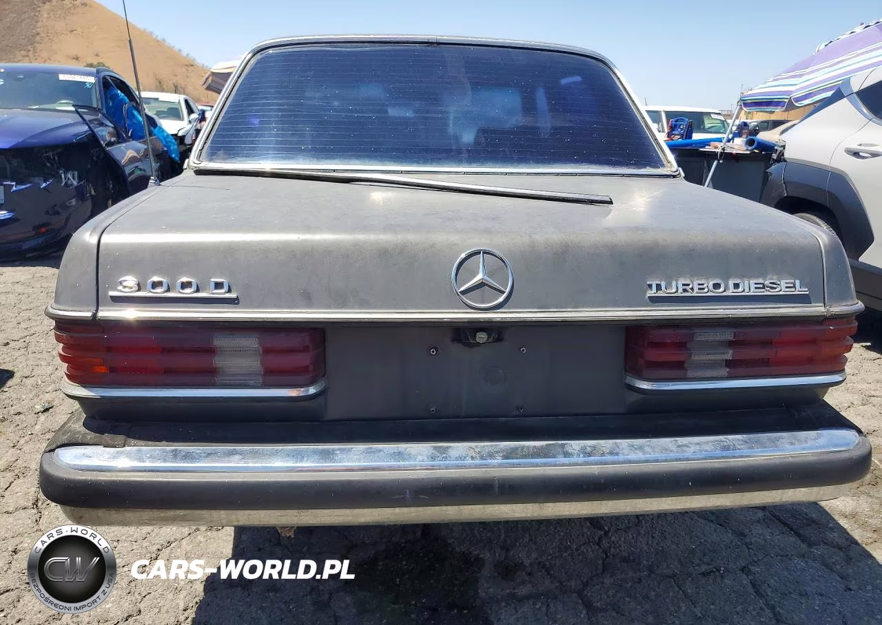 1982 Mercedes-Benz 300 Dt VIN:WDBAB33A3CB012722 - 6