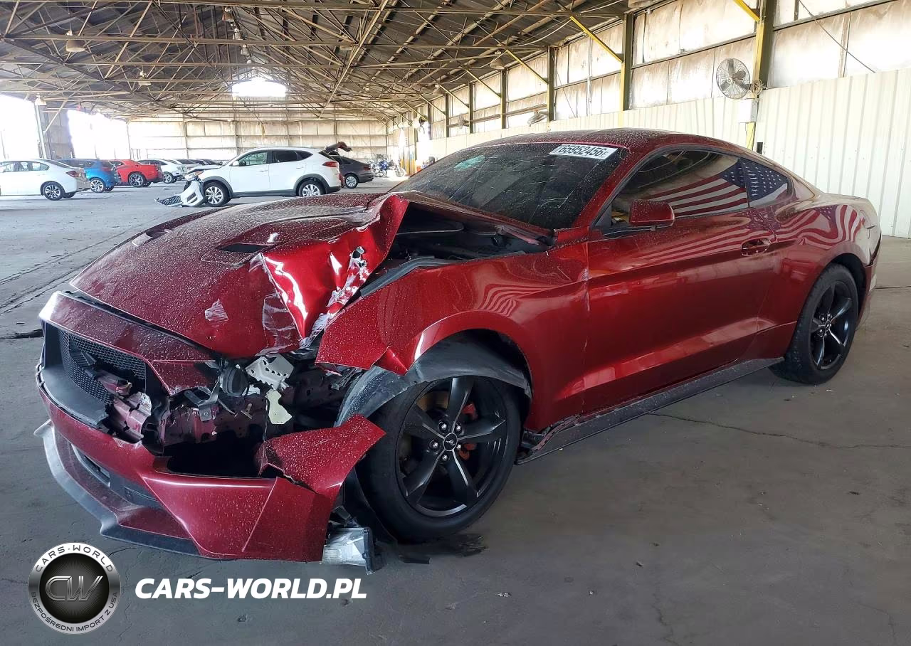 2019 Ford Mustang VIN:1FA6P8THXK5106327 - 1