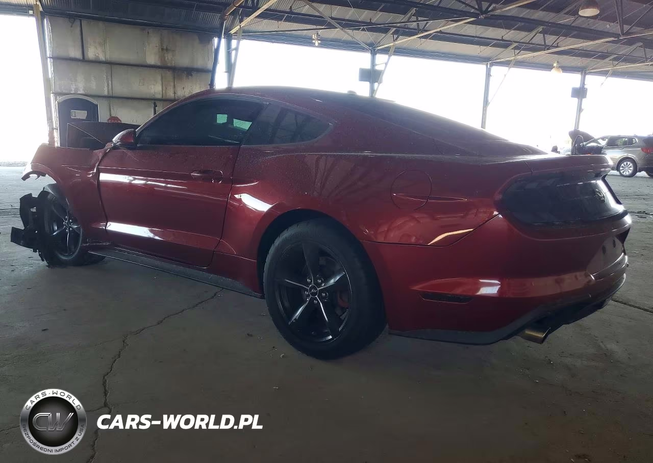 2019 Ford Mustang VIN:1FA6P8THXK5106327 - 2