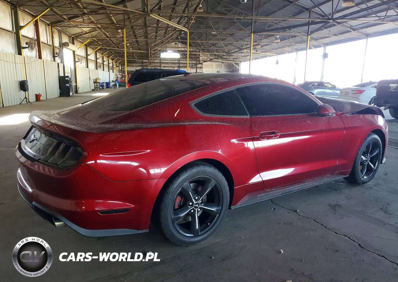 2019 Ford Mustang VIN:1FA6P8THXK5106327 - 3