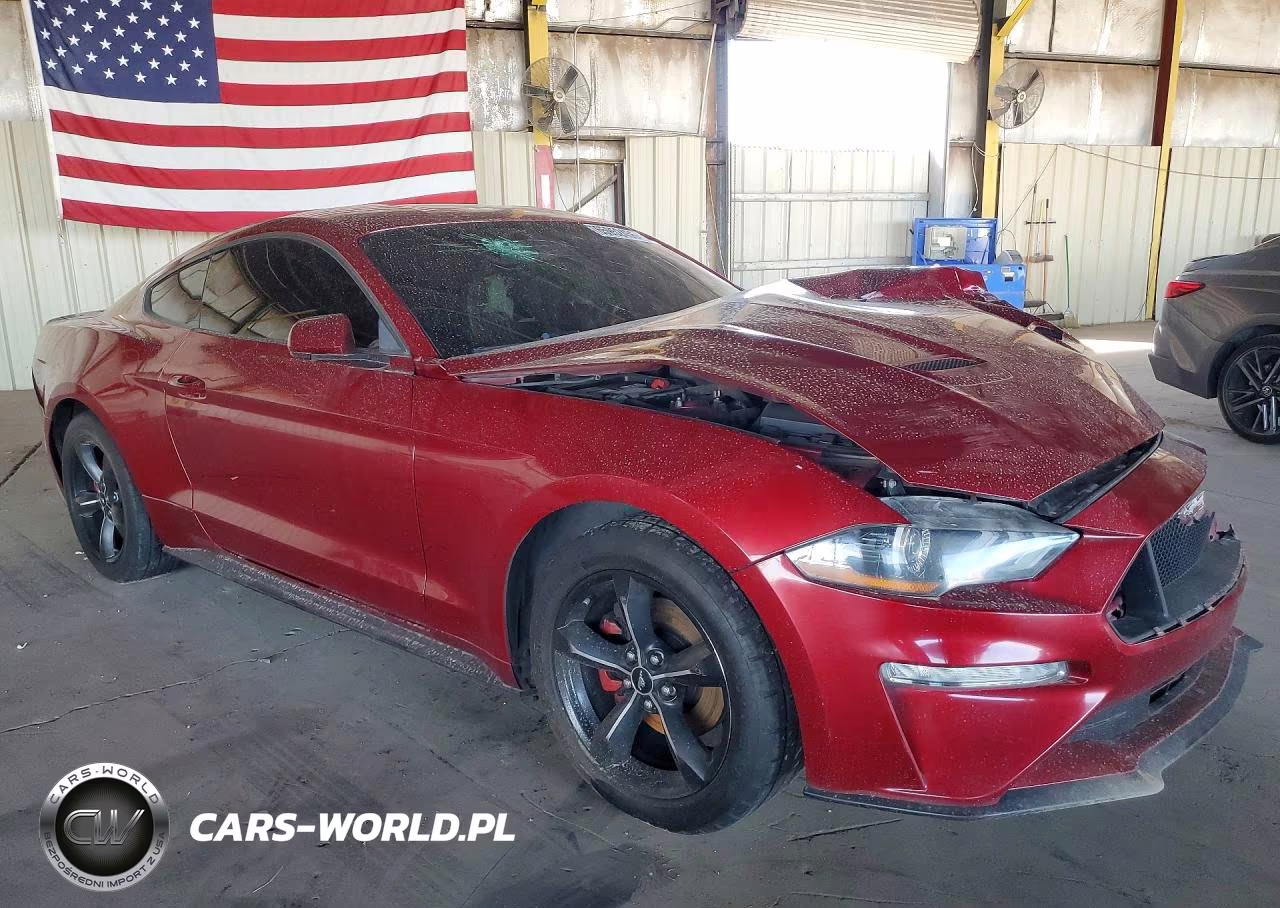 2019 Ford Mustang VIN:1FA6P8THXK5106327 - 4