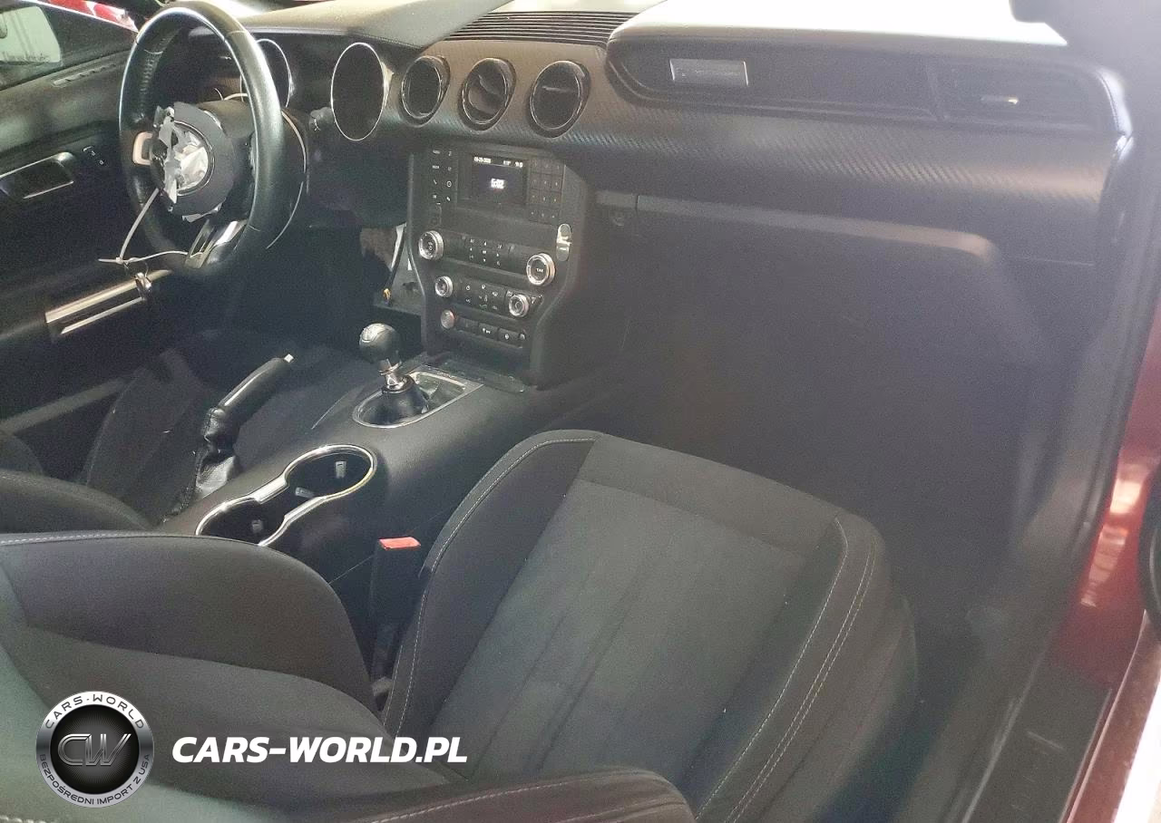 2019 Ford Mustang VIN:1FA6P8THXK5106327 - 8