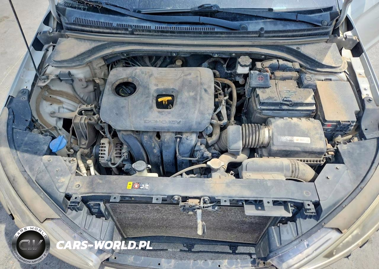 2019 Hyundai Elantra Sel VIN:KMHD84LF3KU745866 - 11