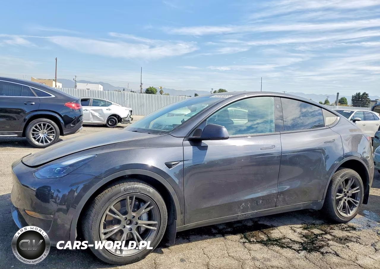 2025 Tesla Model Y