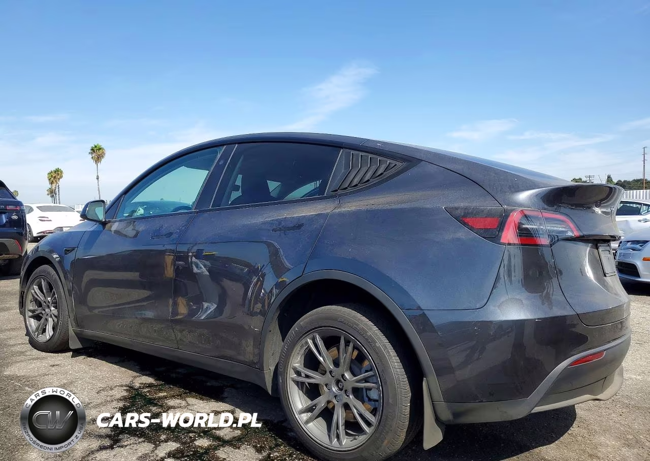 2025 Tesla Model Y VIN:7SAYGDEE4SF216709 - 2