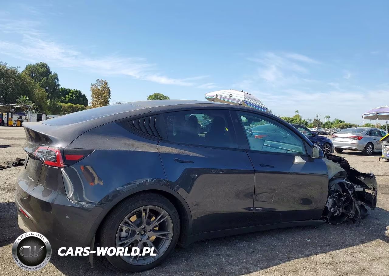 2025 Tesla Model Y VIN:7SAYGDEE4SF216709 - 3