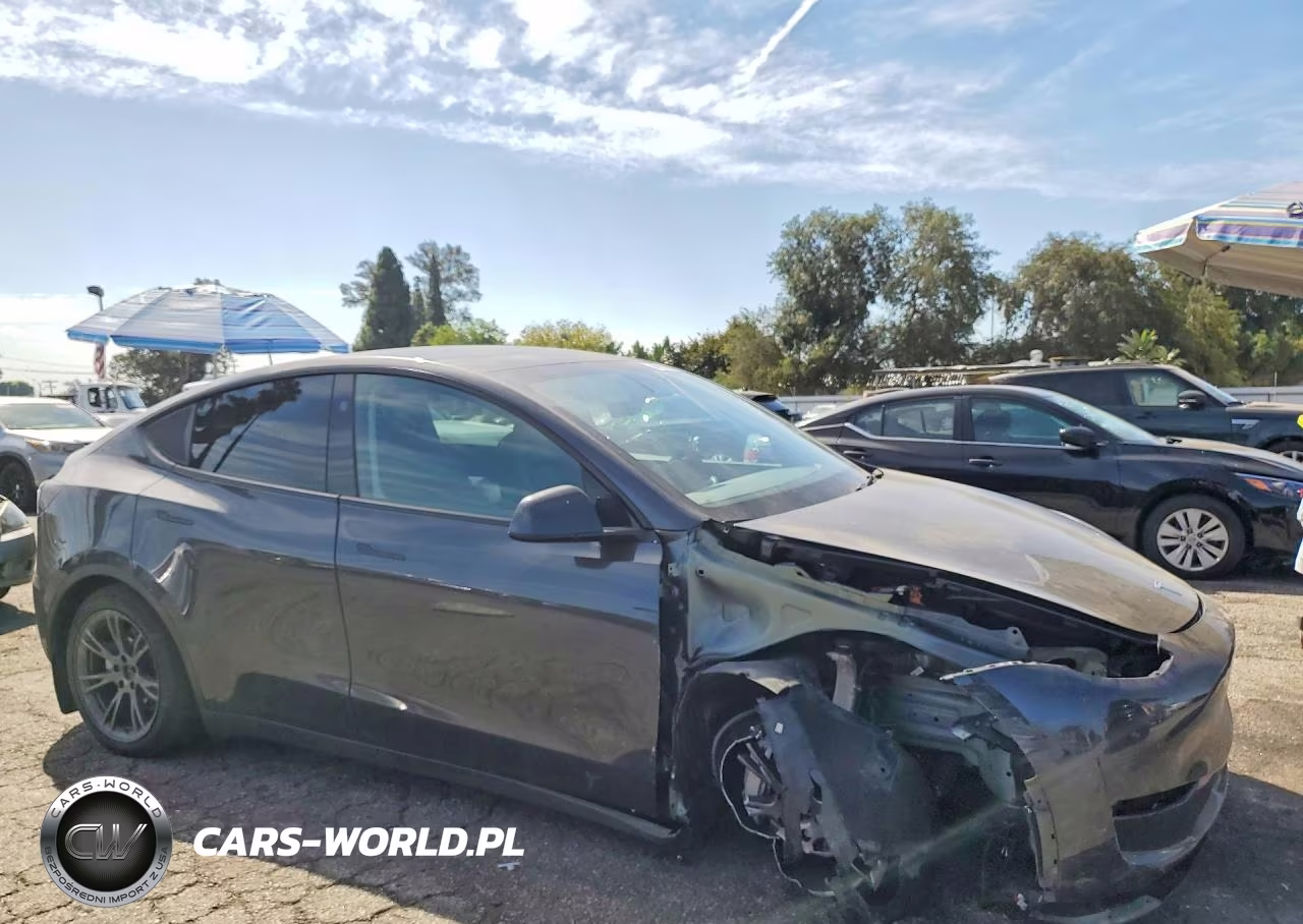 2025 Tesla Model Y VIN:7SAYGDEE4SF216709 - 4