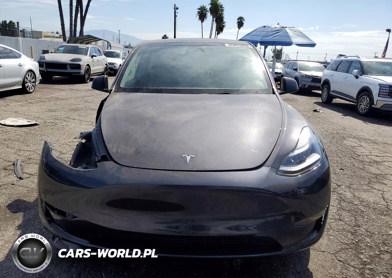 2025 Tesla Model Y VIN:7SAYGDEE4SF216709 - 5