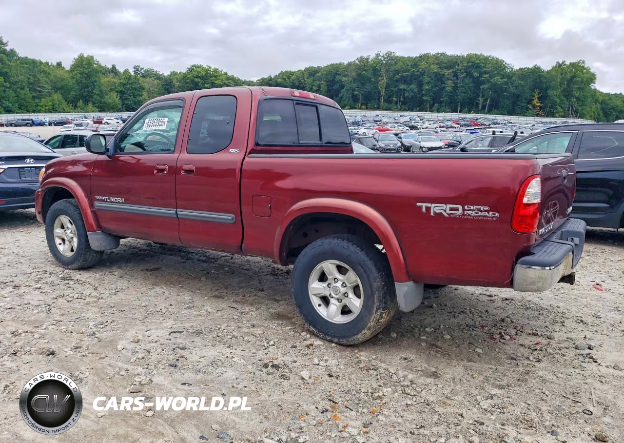 2005 Toyota Tundra Access Cab Sr5 VIN:5TBBT44165S461825 - 2