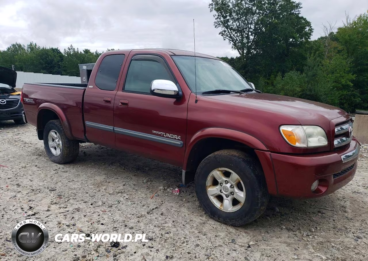 2005 Toyota Tundra Access Cab Sr5 VIN:5TBBT44165S461825 - 4