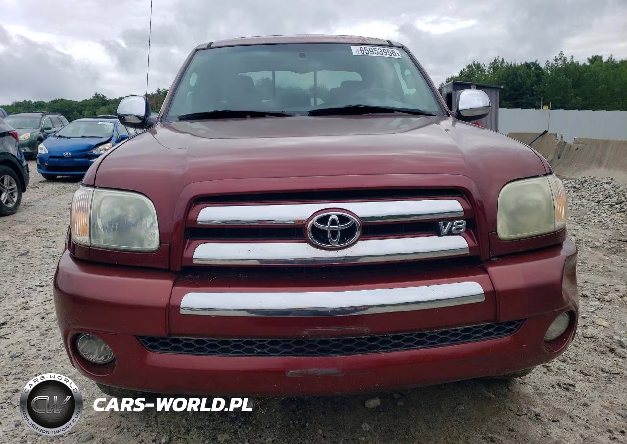 2005 Toyota Tundra Access Cab Sr5 VIN:5TBBT44165S461825 - 5