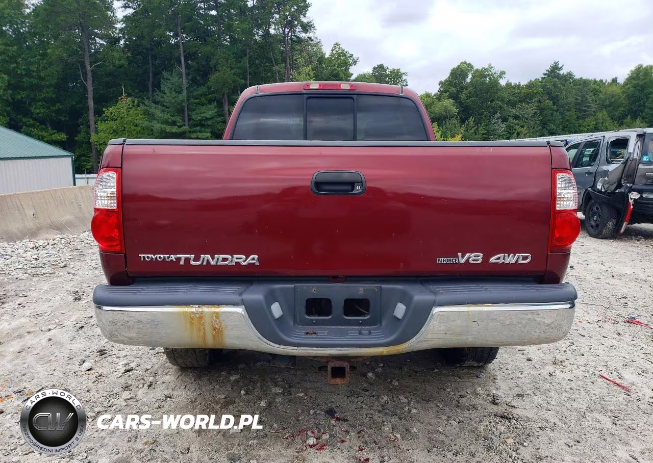 2005 Toyota Tundra Access Cab Sr5 VIN:5TBBT44165S461825 - 6