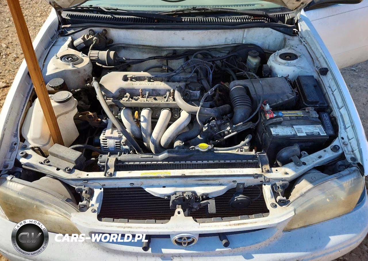 1998 Toyota Corolla Ve VIN:1NXBR12E2WZ119291 - 11