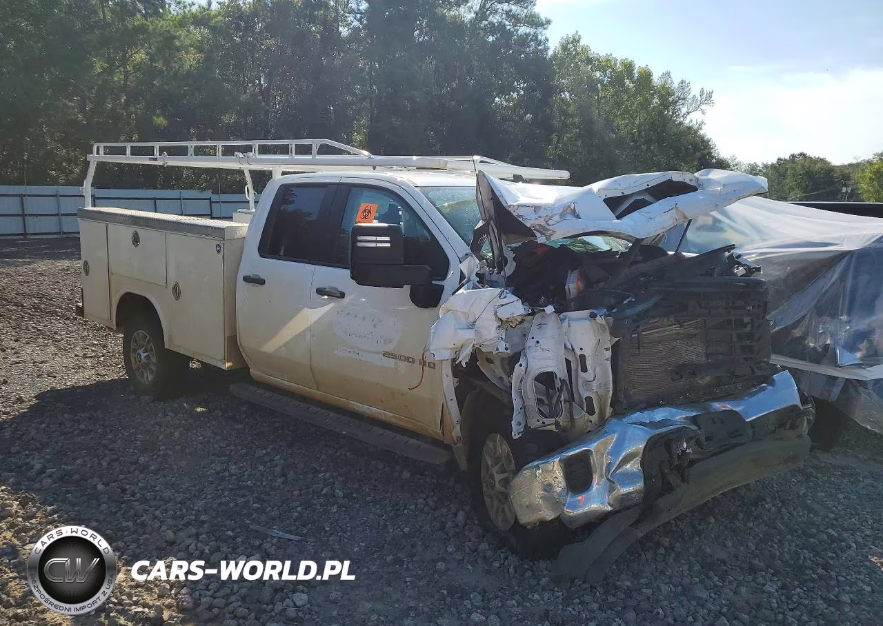 2025 Chevrolet Silverado K2500 Heavy Duty VIN:1GB2KLE71SF236364 - 4