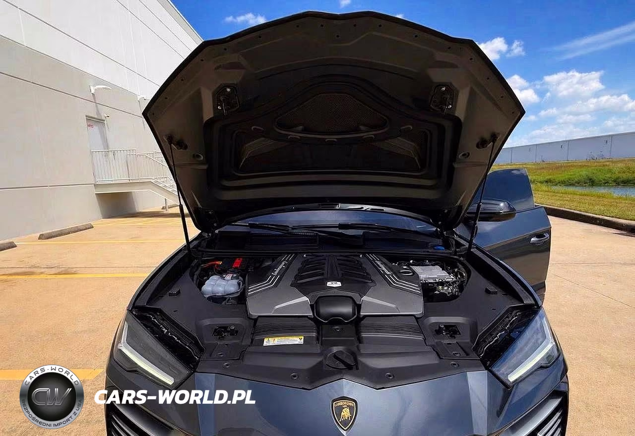 2019 Lamborghini Urus VIN:ZPBUA1ZL2KLA04790 - 7