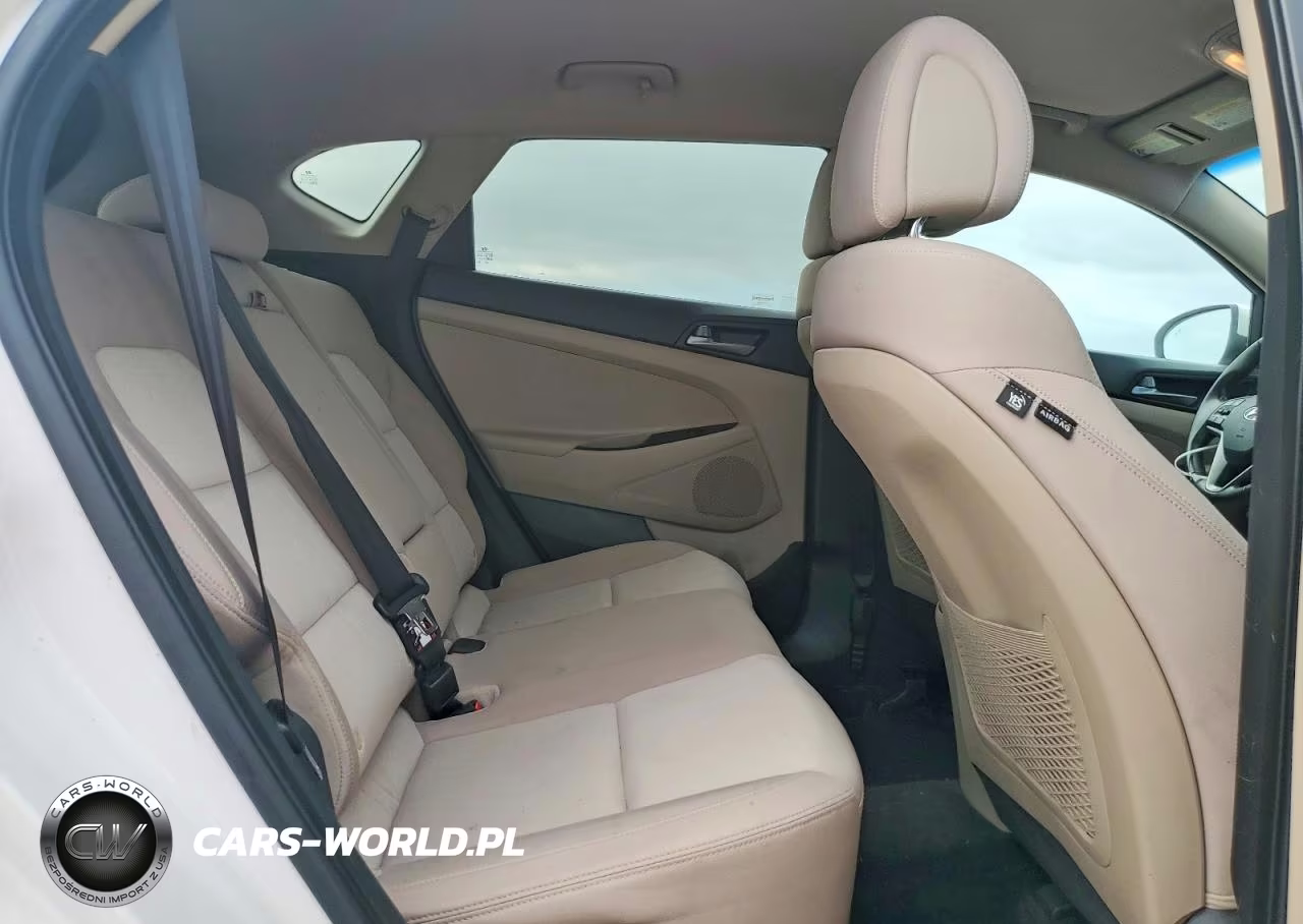 2017 Hyundai Tucson Sport VIN:KM8J33A22HU310955 - 10