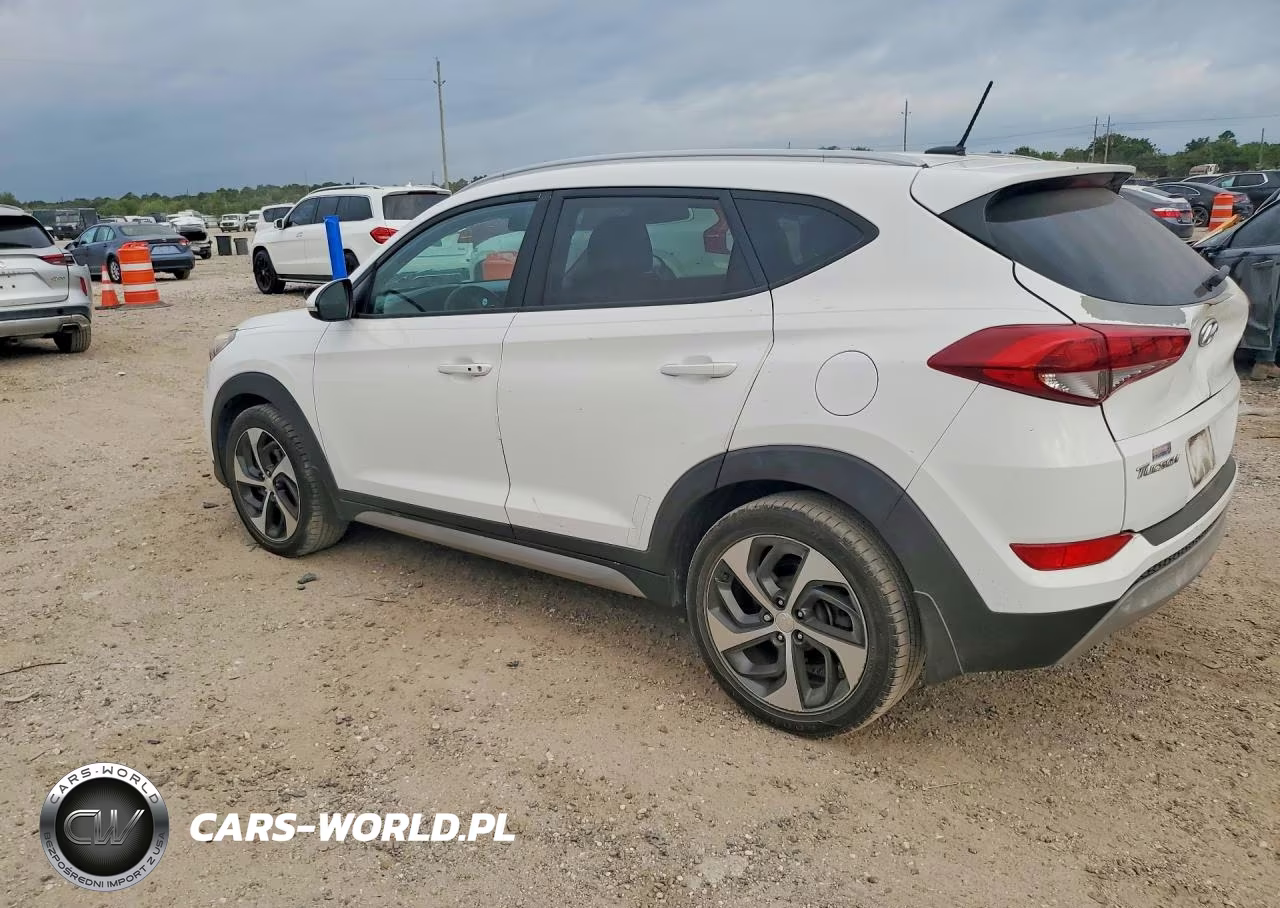 2017 Hyundai Tucson Sport VIN:KM8J33A22HU310955 - 2