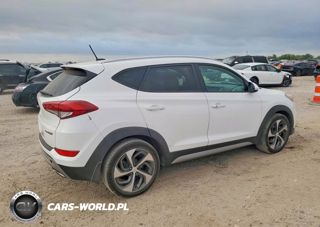 2017 Hyundai Tucson Sport VIN:KM8J33A22HU310955 - 3