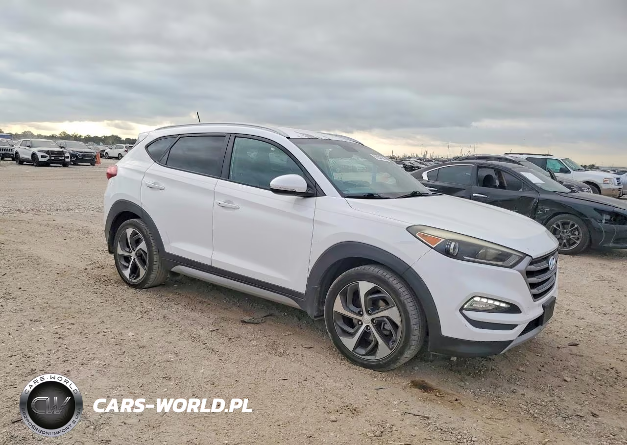 2017 Hyundai Tucson Sport VIN:KM8J33A22HU310955 - 4