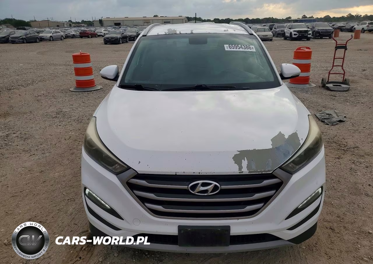 2017 Hyundai Tucson Sport VIN:KM8J33A22HU310955 - 5