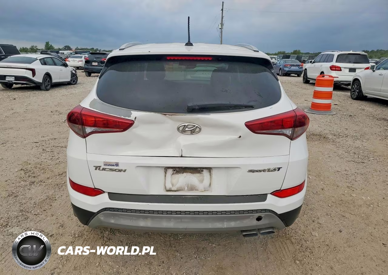 2017 Hyundai Tucson Sport VIN:KM8J33A22HU310955 - 6