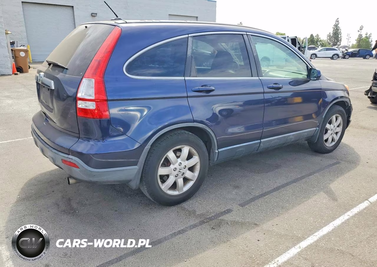 2009 Honda Cr-V Exl VIN:JHLRE38739C002495 - 3