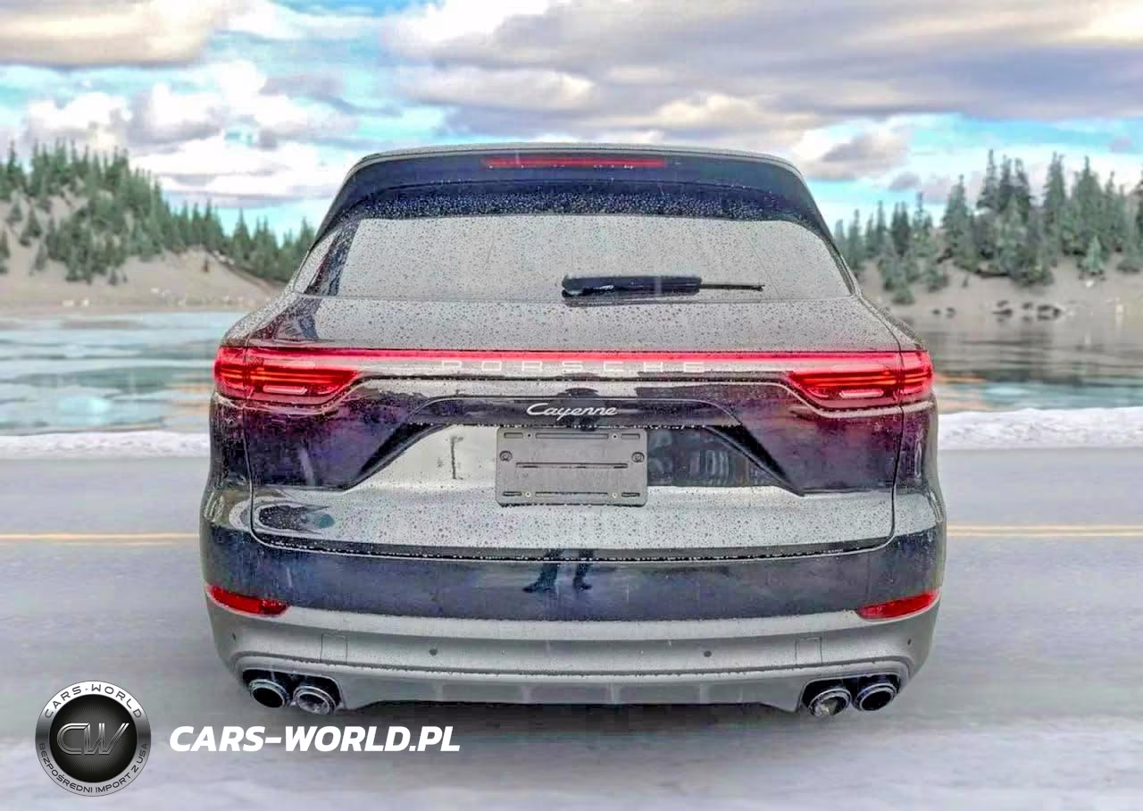 2023 Porsche Cayenne Base VIN:WP1AA2AYXPDA06441 - 12