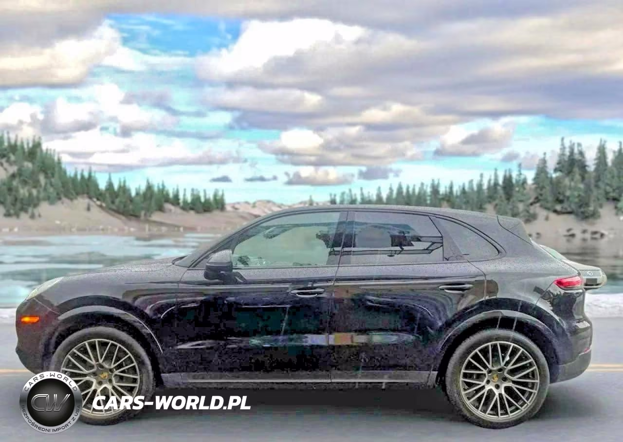 2023 Porsche Cayenne Base VIN:WP1AA2AYXPDA06441 - 14