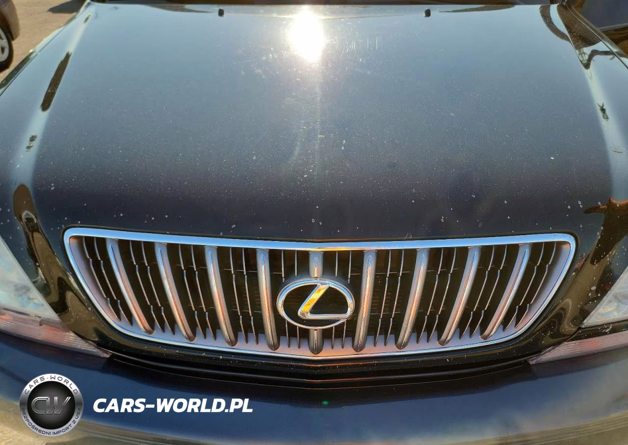 2001 Lexus Rx 300 VIN:JTJHF10U410206527 - 12