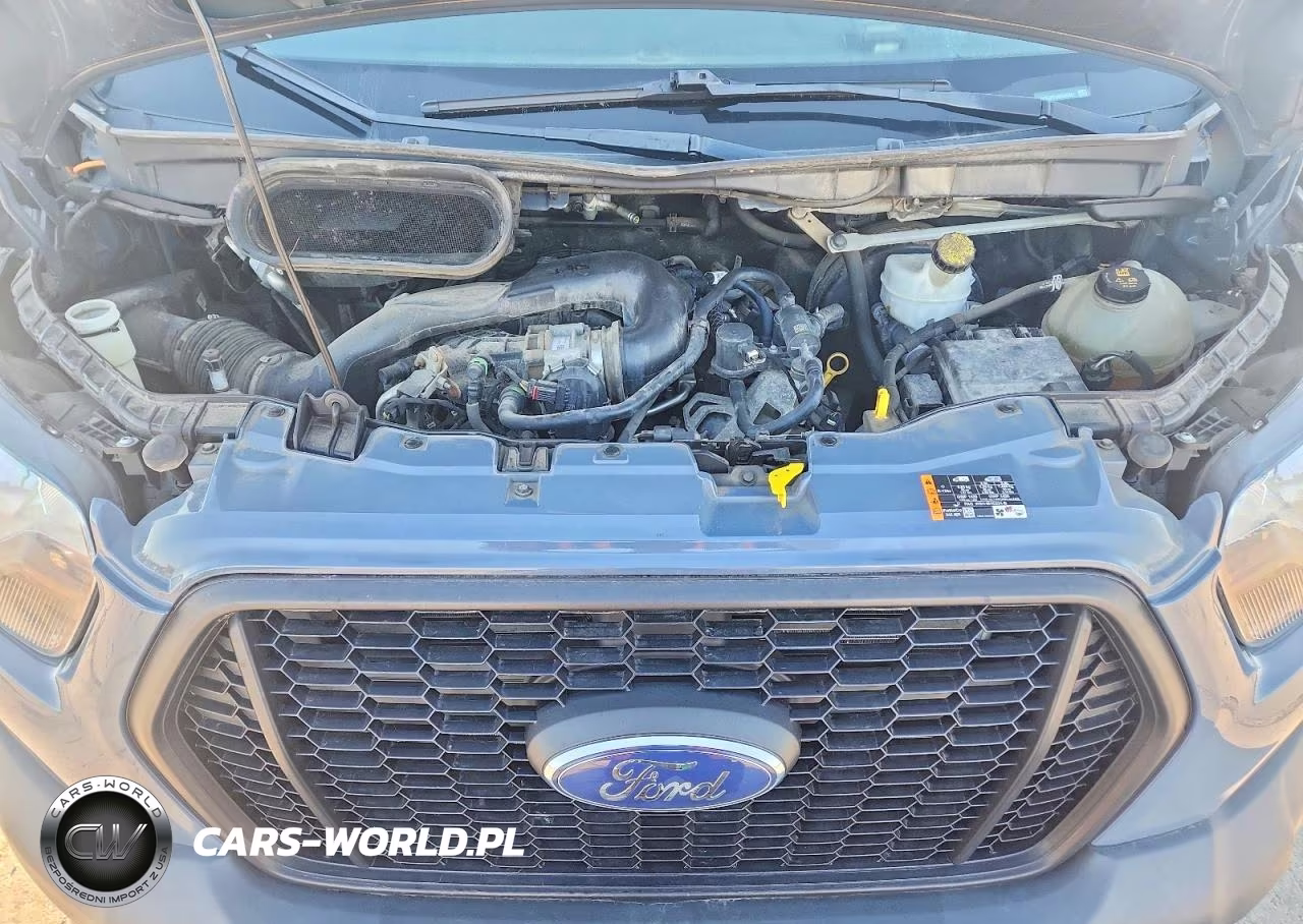 2021 Ford Transit Delivery Truck VIN:1FDDF6P81MKA45341 - 11