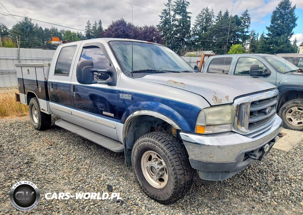 2003 Ford F250 Super Duty VIN:1FTNW21P13EB92399 - 4