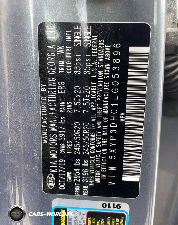 2020 Kia Telluride Ex VIN:5XYP3DHC1LG053896 - 10