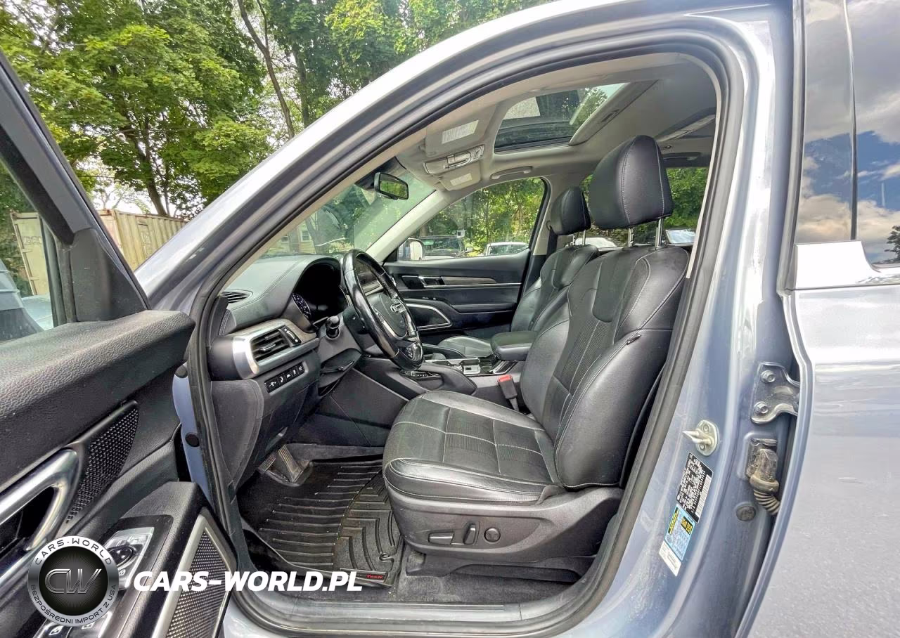 2020 Kia Telluride Ex VIN:5XYP3DHC1LG053896 - 12