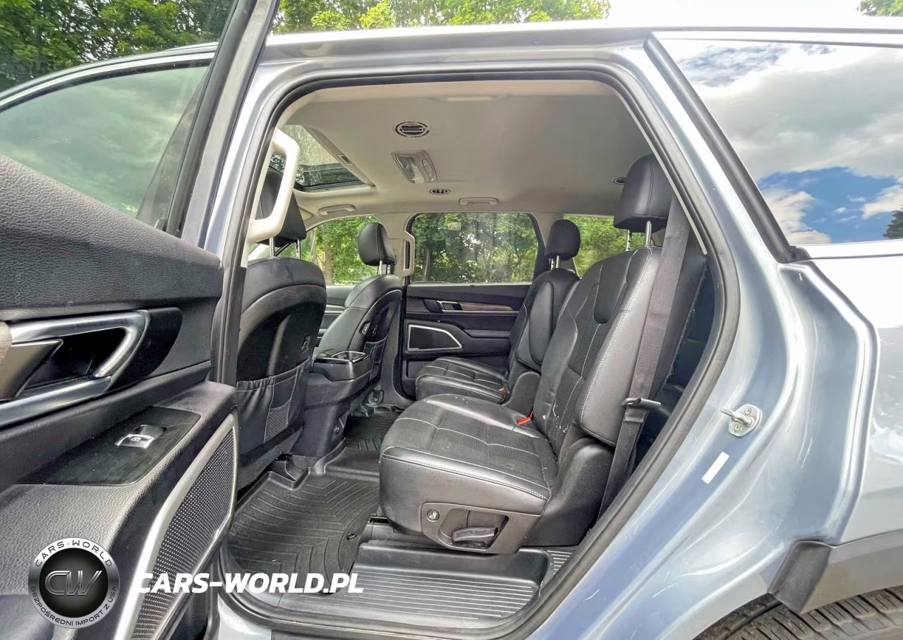 2020 Kia Telluride Ex VIN:5XYP3DHC1LG053896 - 13